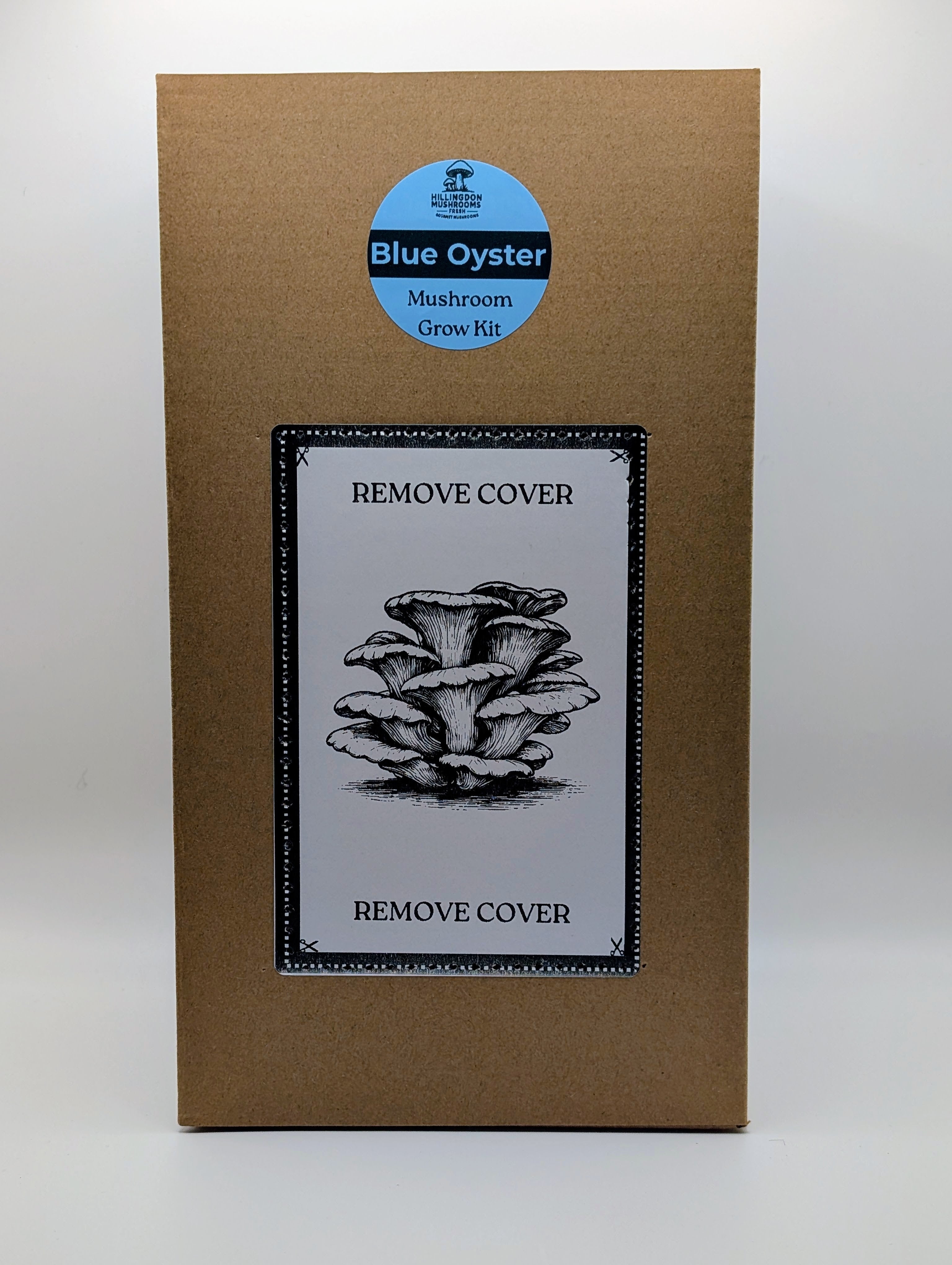 How to Grow Oyster Mushrooms at Home