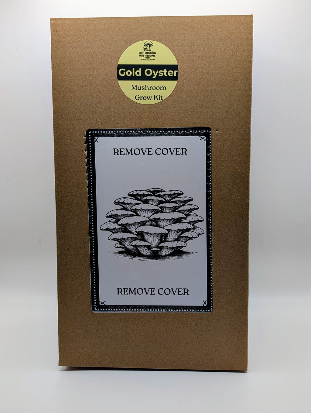 Gold Oyster Mushroom Grow Kit