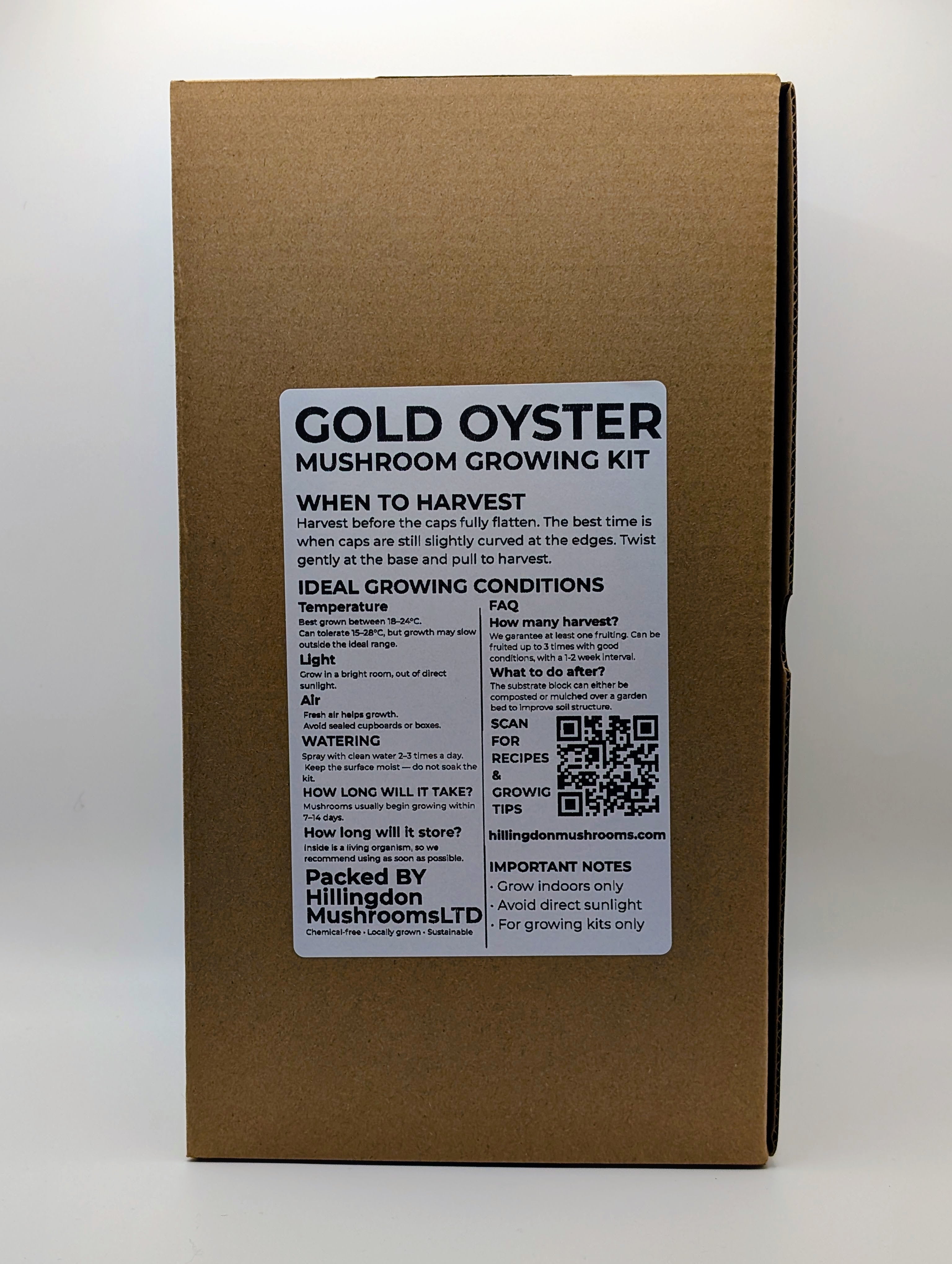 Gold Oyster Mushroom Grow Kit