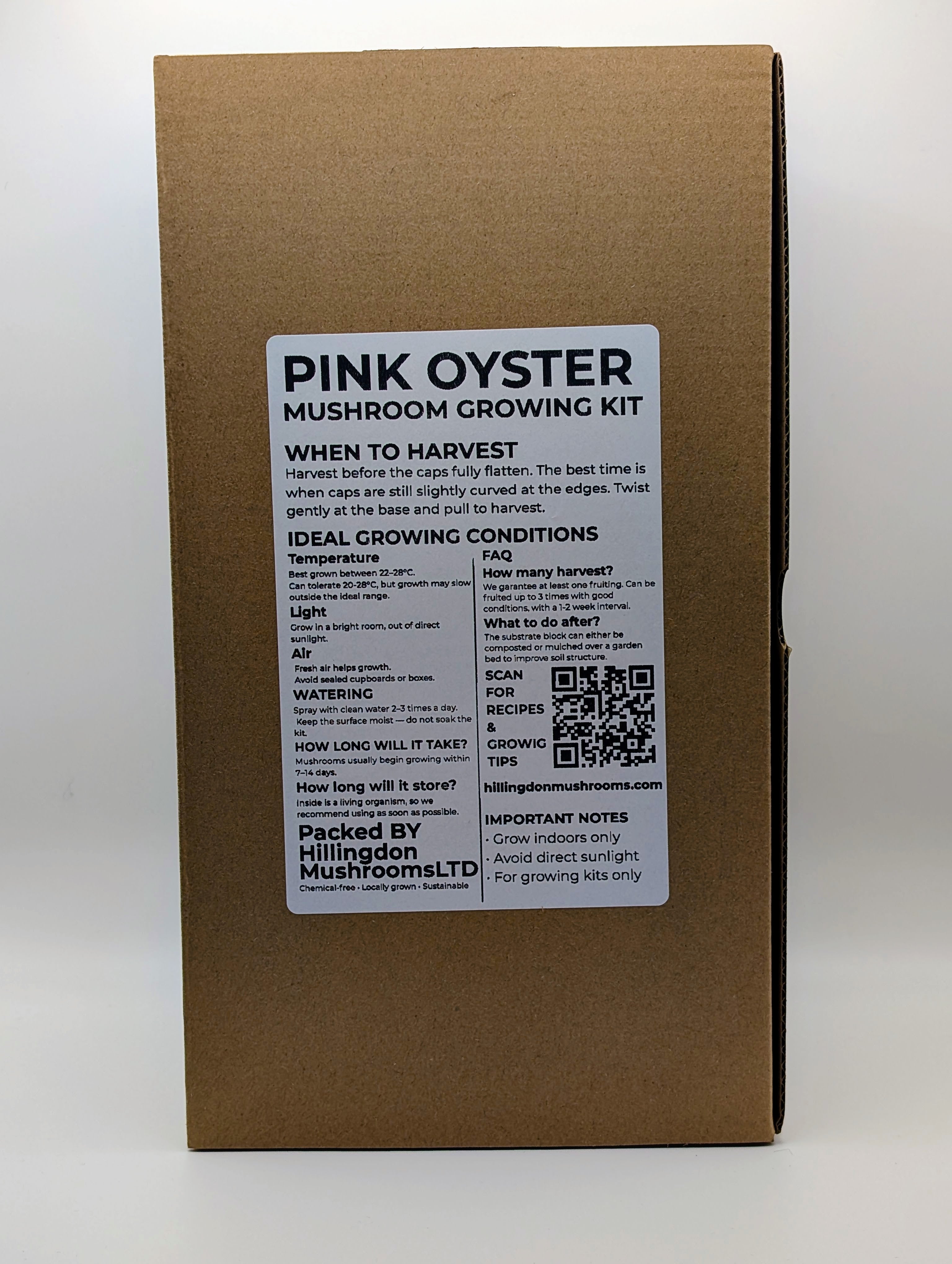 Pink Oyster Mushroom Grow Kit